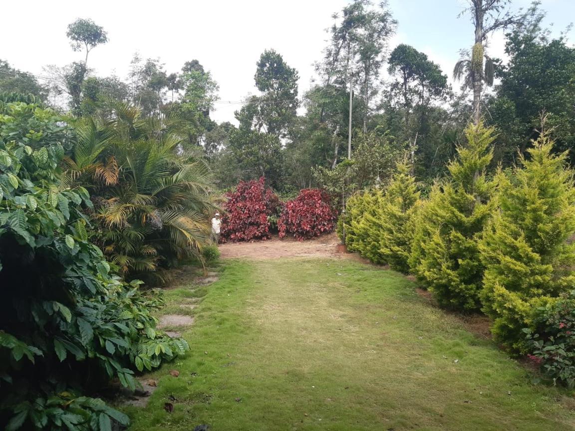 Athena Homestay Somvārpet Exteriör bild