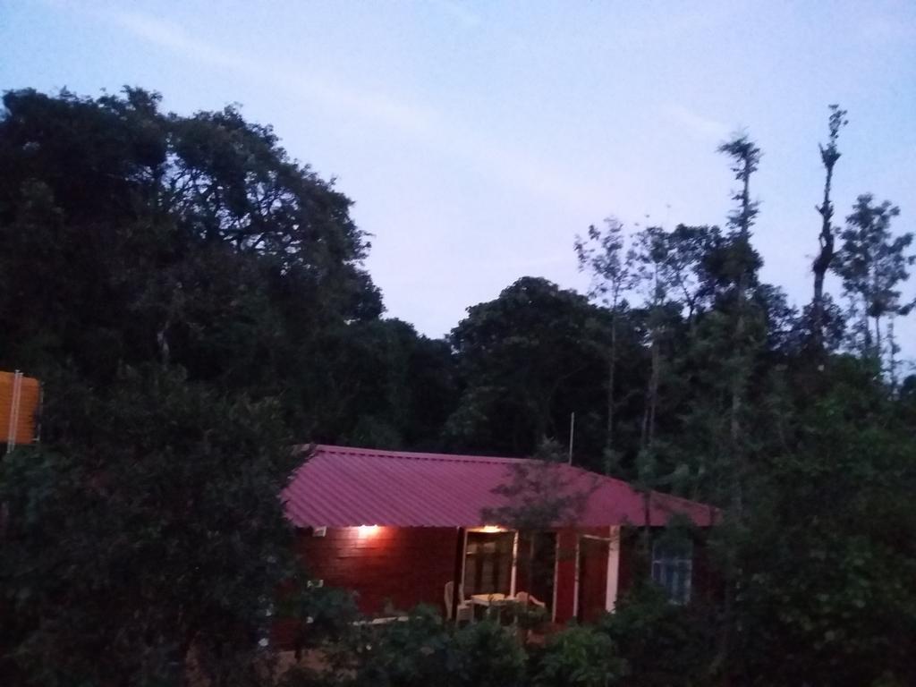 Athena Homestay Somvārpet Exteriör bild