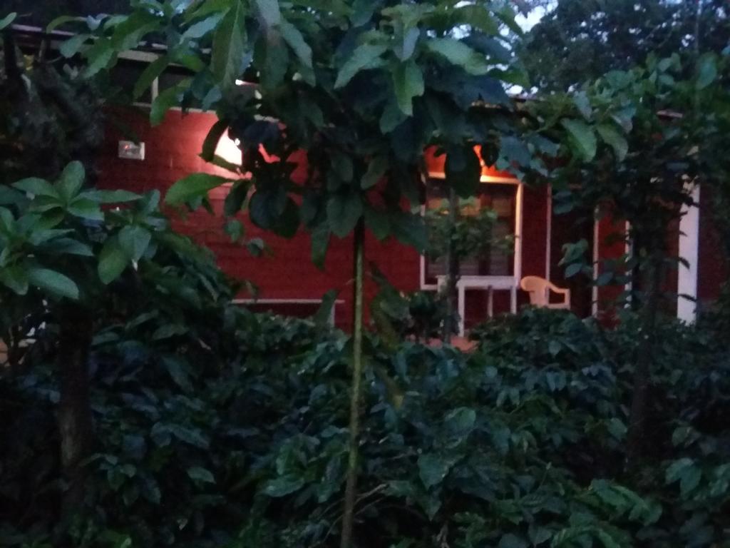 Athena Homestay Somvārpet Exteriör bild