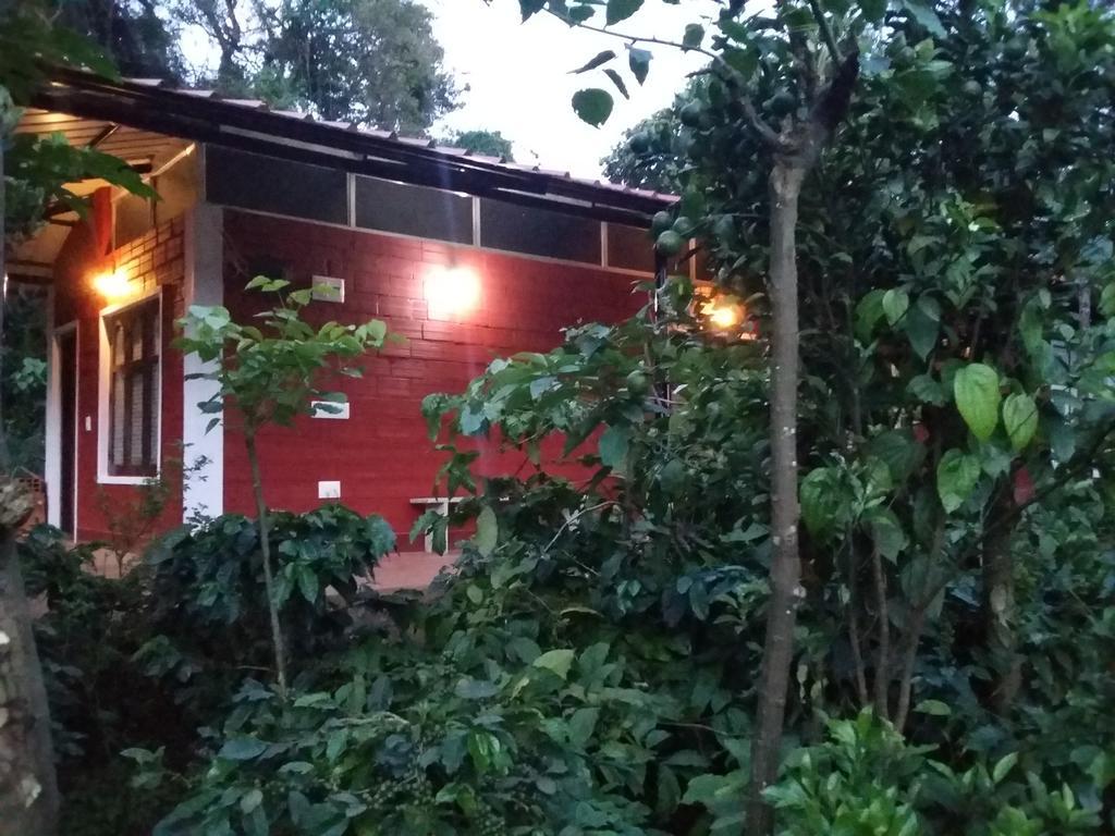 Athena Homestay Somvārpet Exteriör bild